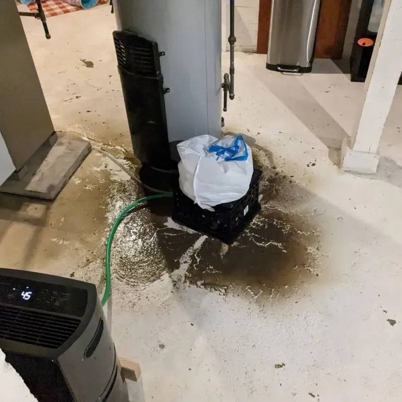 Sewage Backup Cleanup Service in Martinez, CA